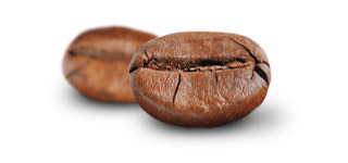 &bdquo;Robusta&ldquo; kava