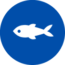 Žuvies piktograma